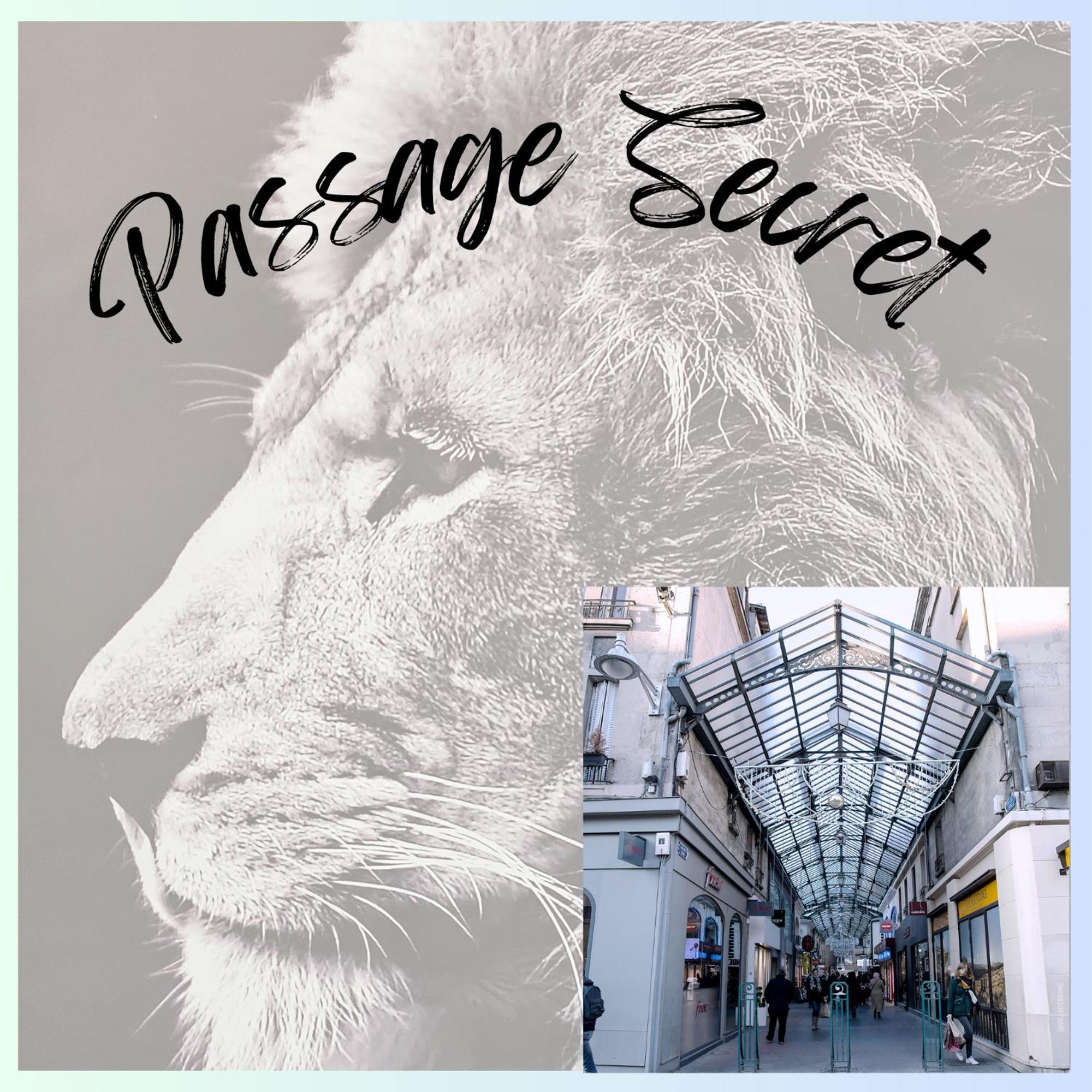 Passage Secret - Ideal Pro, Couples, Familles & Amis - Le Calme En Hypercentre - Wifi Haut Debit - Netflix - Machine A Laver - Gare, Cathedrale, Commerces, Restaurants & Transports En Commun A Moins De 10 Minutes A Pied Reims Zewnętrze zdjęcie