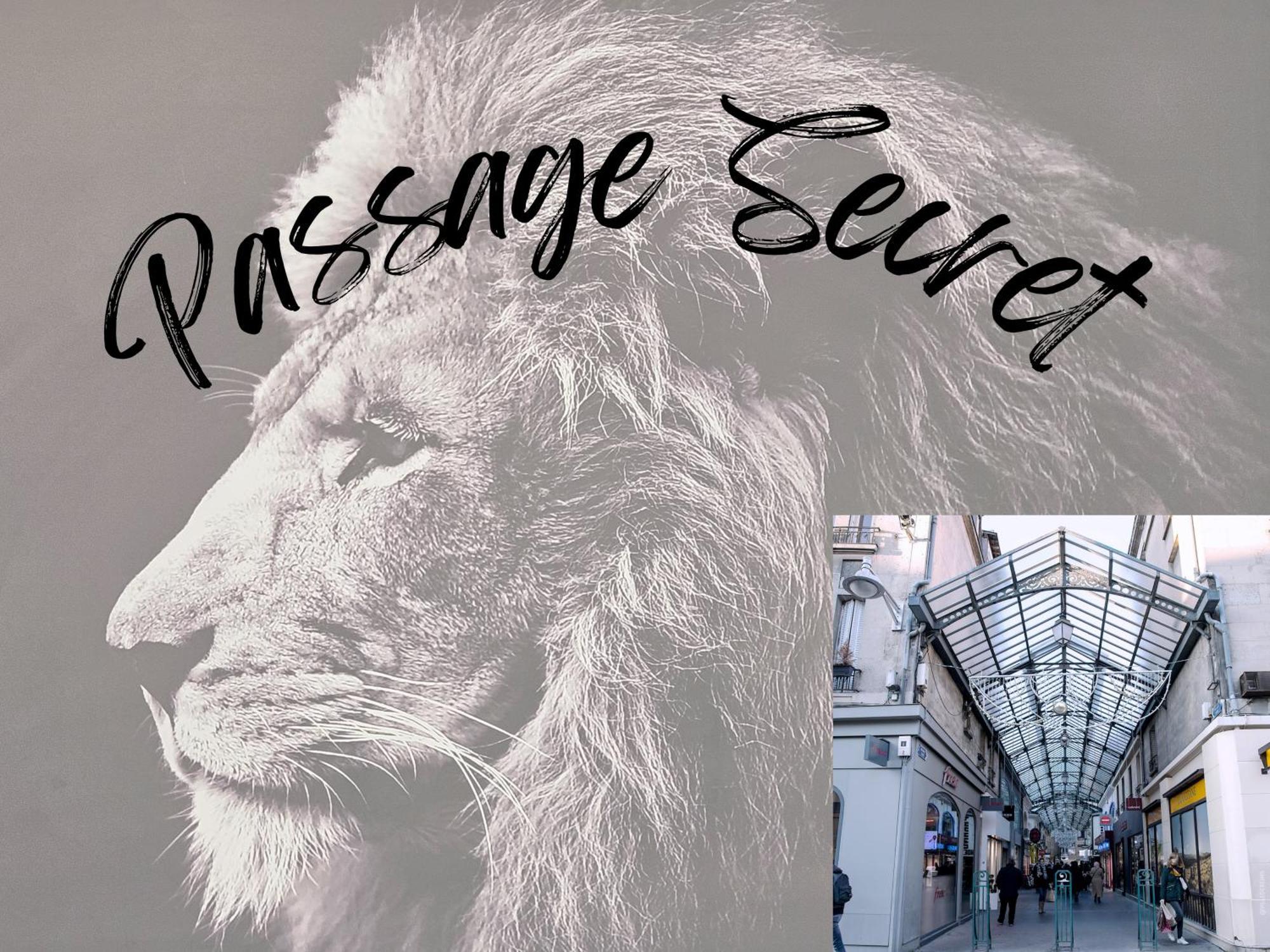 Passage Secret - Ideal Pro, Couples, Familles & Amis - Le Calme En Hypercentre - Wifi Haut Debit - Netflix - Machine A Laver - Gare, Cathedrale, Commerces, Restaurants & Transports En Commun A Moins De 10 Minutes A Pied Reims Zewnętrze zdjęcie